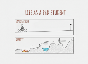 PhD Student