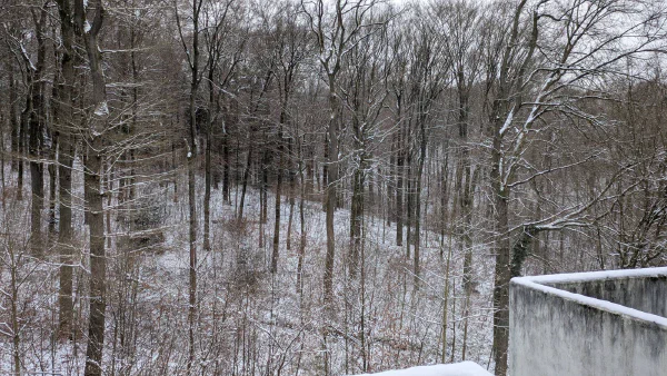 Snowy landscape in Saarland